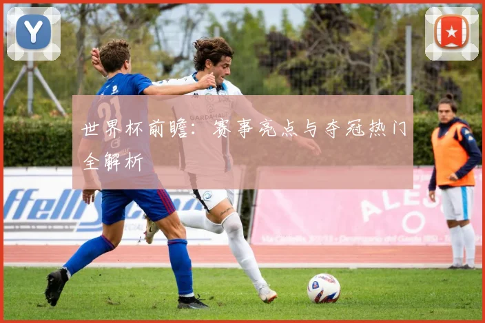世界杯前瞻：赛事亮点与夺冠热门全解析