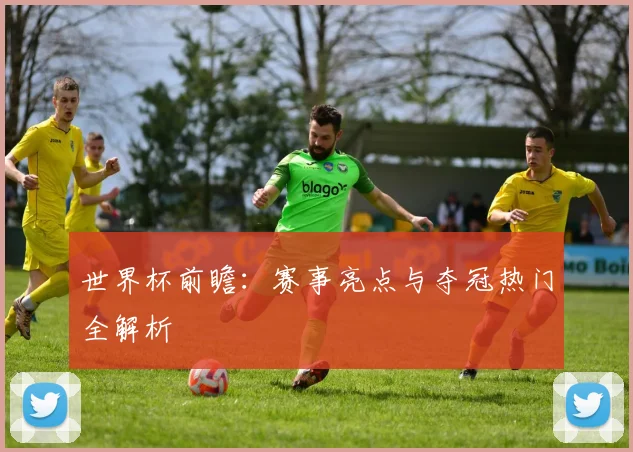 世界杯前瞻：赛事亮点与夺冠热门全解析